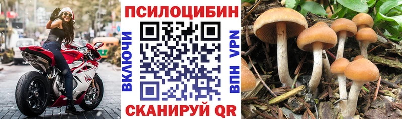 Галлюциногенные грибы Cubensis  Миньяр 